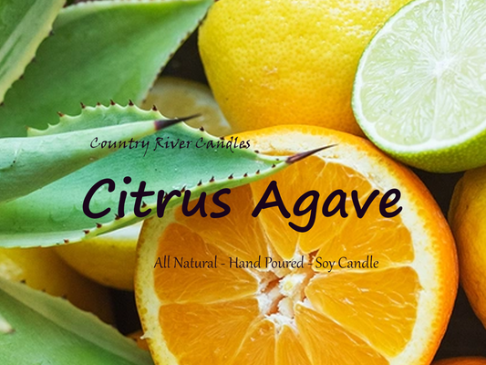 Citrus Agave
