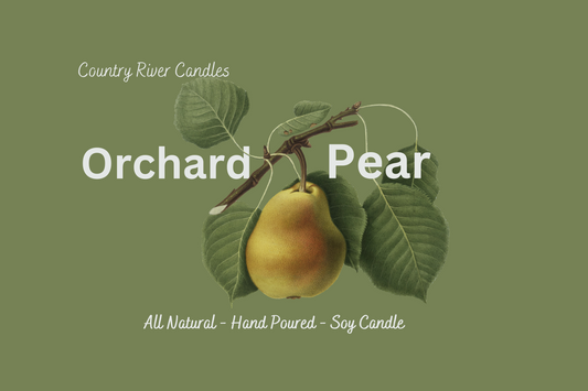 Orchard Pear