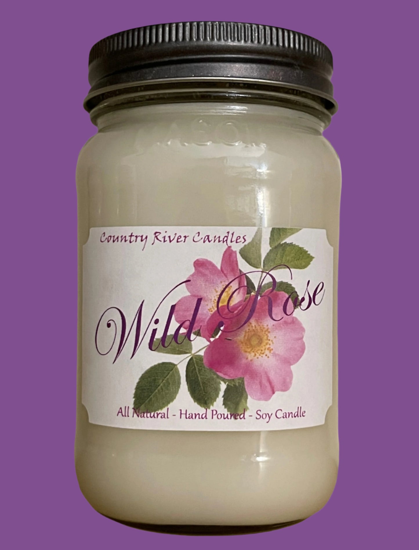 Wild Rose