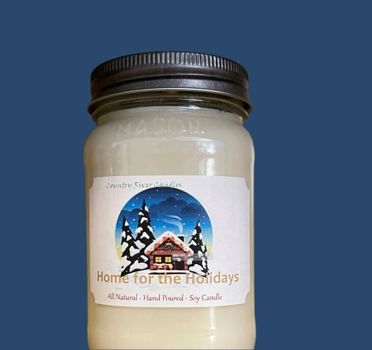 Home for the Holidays