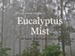 Eucalyptus Mist