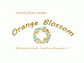 Orange Blossom