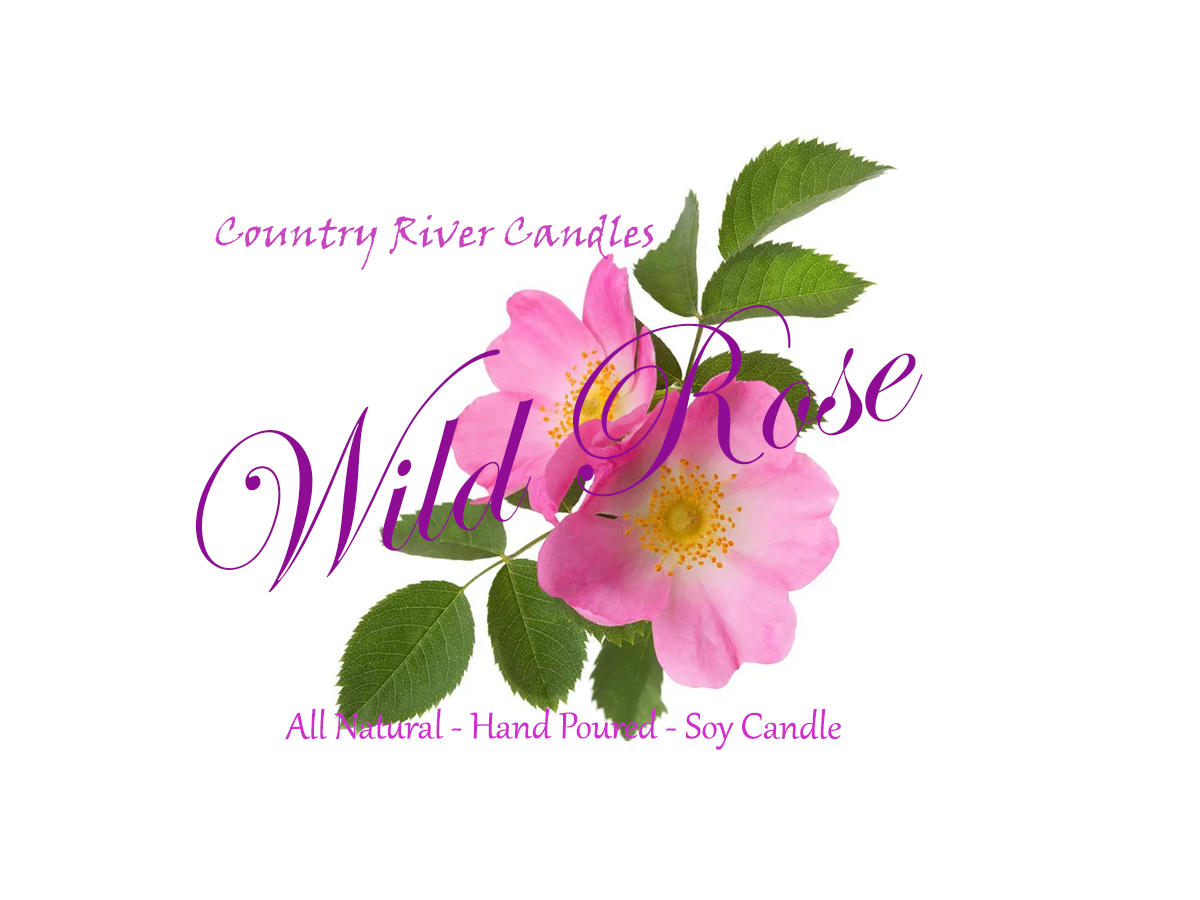 Wild Rose